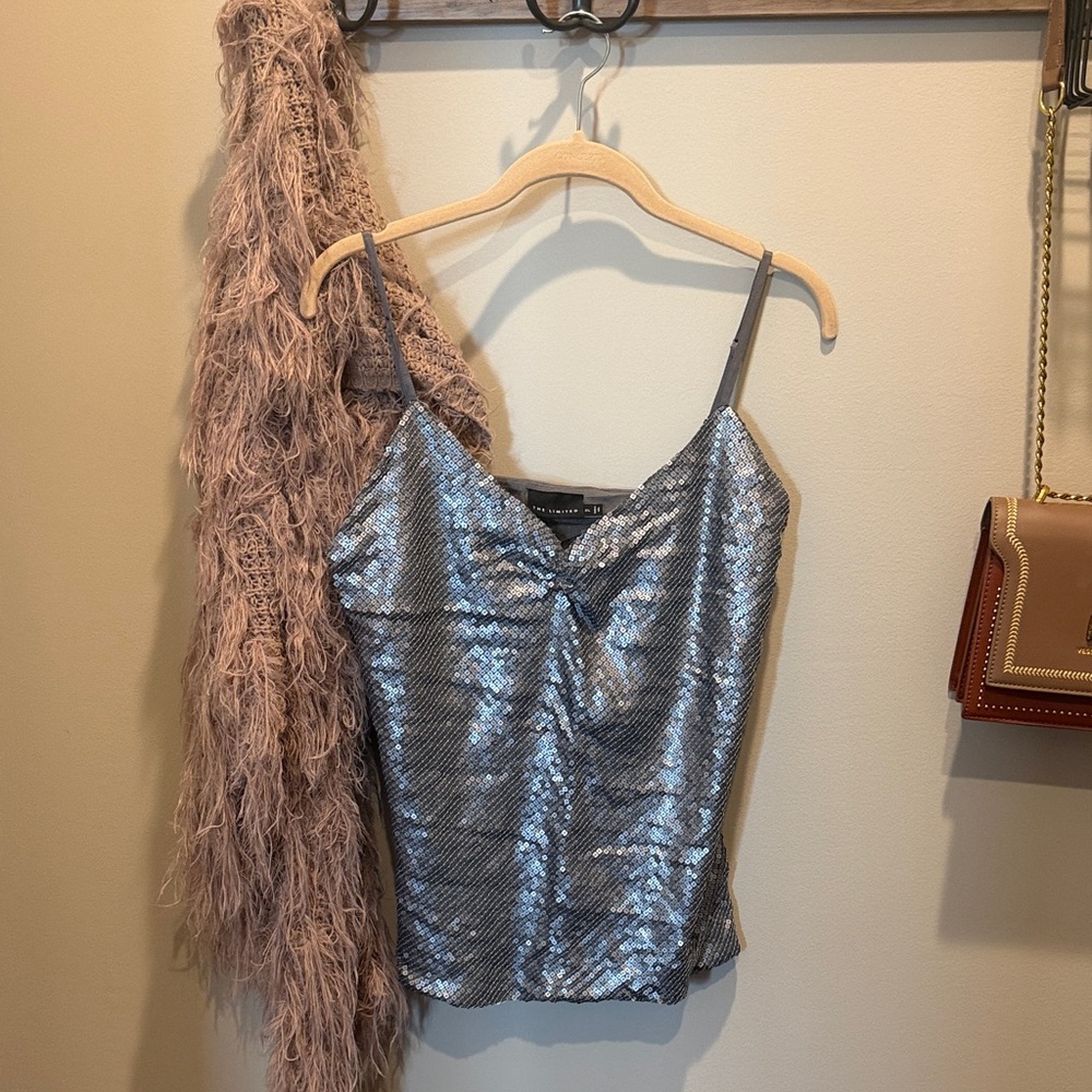 The Limited Shimmering Silver Camisole